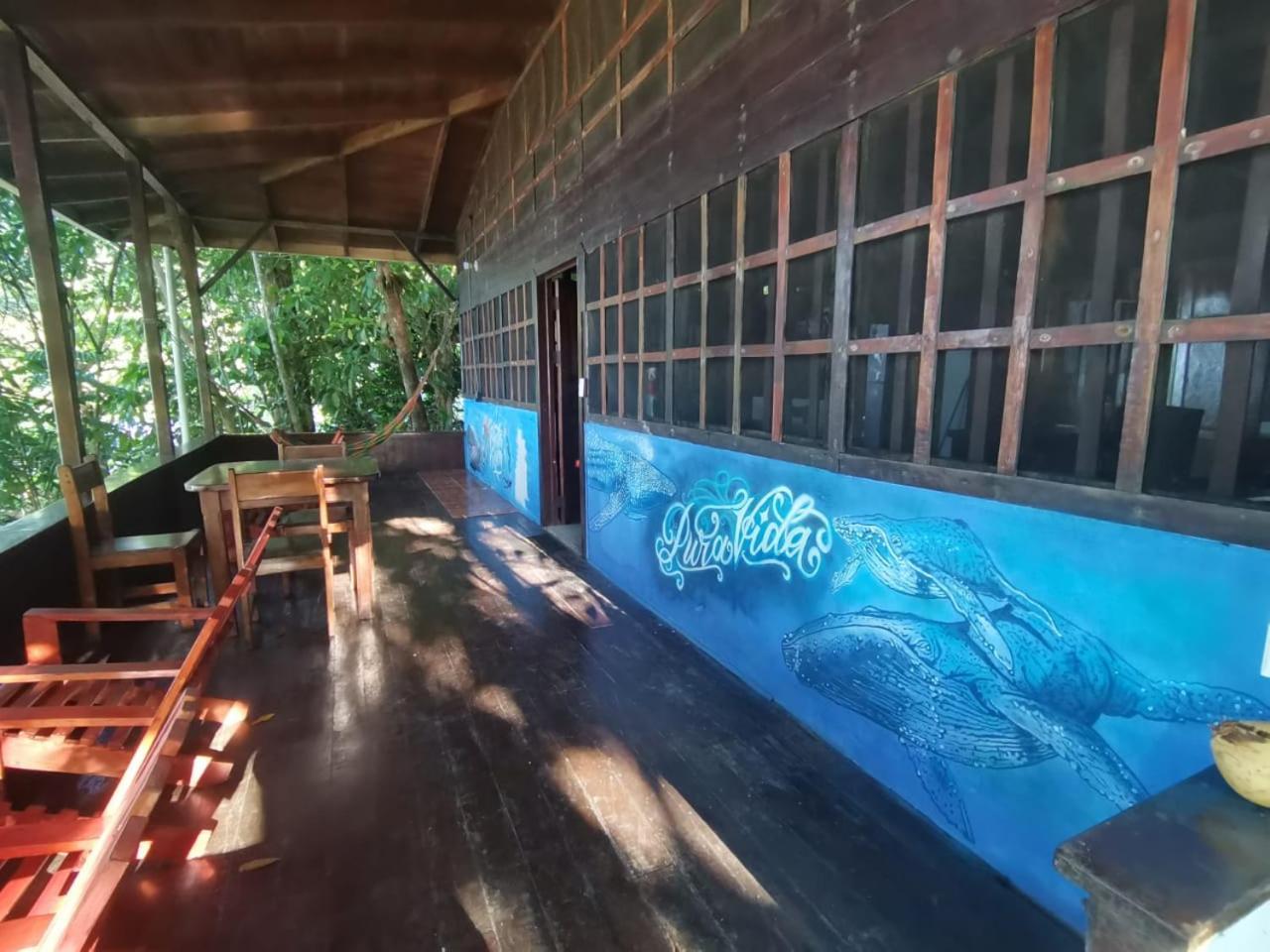 Pirate Drake Beach Hostel & Tour Company Драке Экстерьер фото